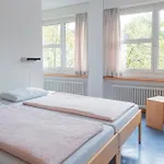 Hostel Youth